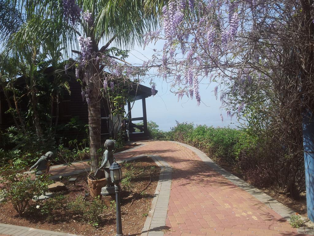 Sea Of Galilee Panoramic View Villa Ramot Ruang foto